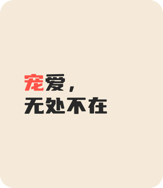 星空宠物，无处不在